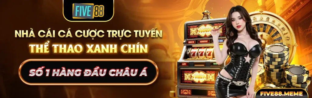 hi8 Thể Thao - Nền tảng cá cược an toàn và hiện đại