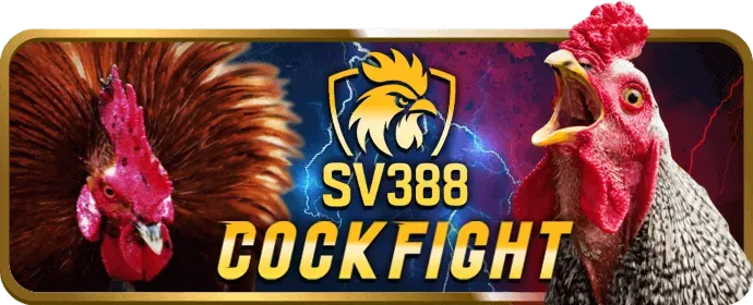 Đá Gà Cựa Sắt hi8